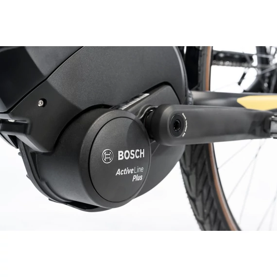 GEPIDA BONUM EDGE NEXUS 8C (COASTER) MATT FEKETE